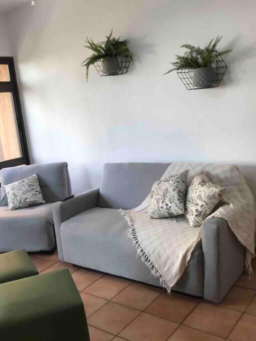 Apto Executivo Prox Hospitais E Shopping Leilighet Ribeirão Preto Eksteriør bilde